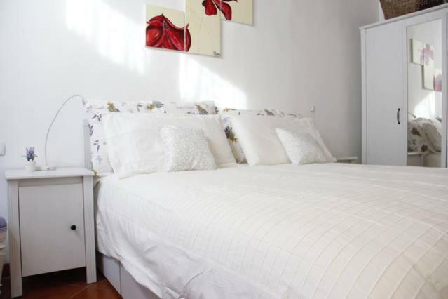 Art Apartment Santa Maria Florencja Zewnętrze zdjęcie